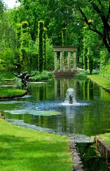 Zielony ogród + piękna fontanna