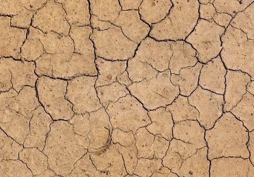 Dzień Walki z Pustynnieniem i Suszami: Przyczyny, Skutki i Sposoby Przeciwdziałania