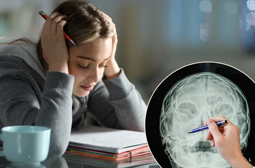 Zatoki mogą wpływać na Twoją koncentrację? Tak, i mamy na to dowody