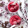 Najprostszy sorbet malinowy