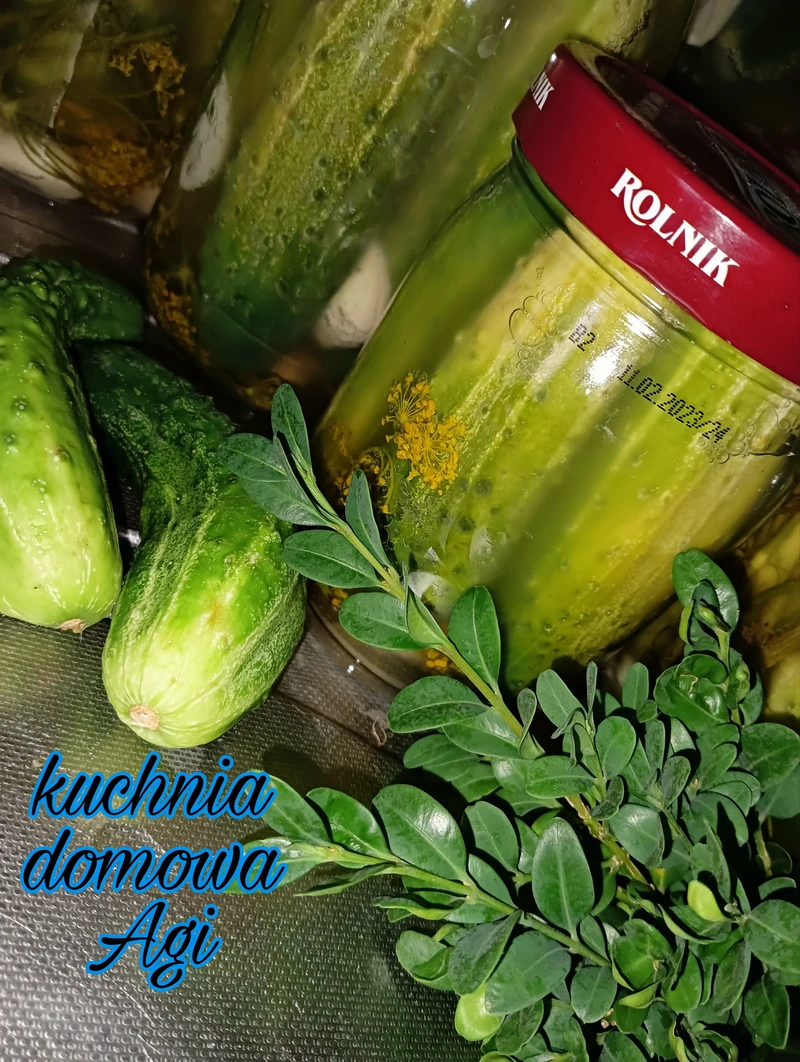 Ogórki kiszone z wodą z kranu
