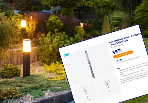 Te nowe lampki LED z Action robią furorę w ogrodach! Bez prądu, małe, a efekt ogromny -  super opcja na święta
