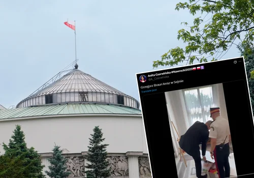 Szokujące sceny w Sejmie! Grzegorz Braun zerwał i podeptał plakaty wystawy!