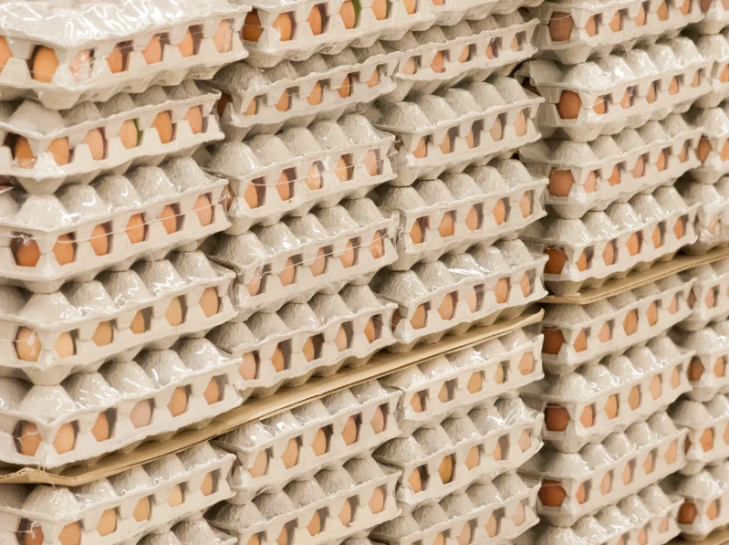 Producenci grożą wstrzymaniem dostaw jaj do supermarketów! Negocjacje zostały odwołane