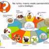 Zamienniki cukru białego
