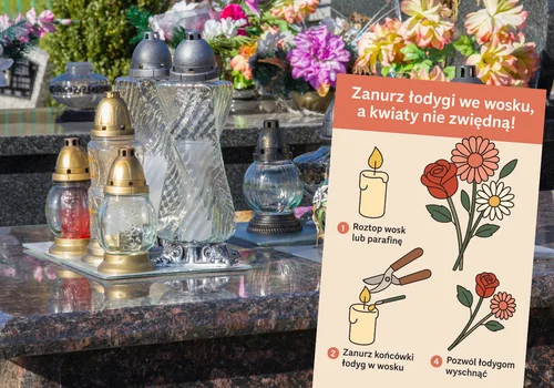 Zanurz łodygi we wosku, a kwiaty nie zwiędną! Stary florystyczny trik, który naprawdę działa!