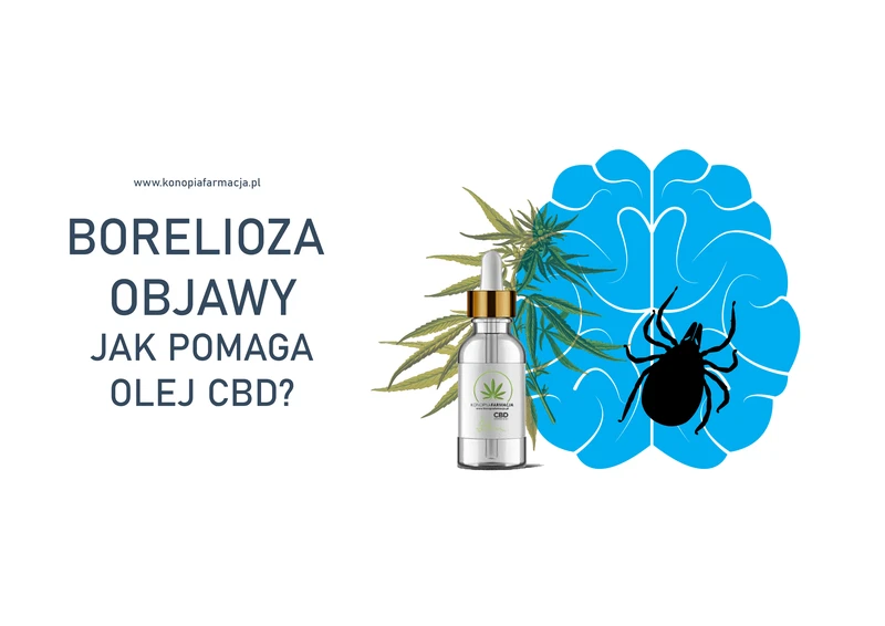 BORELIOZA OBJAWY - JAK POMAGA OLEJ CBD