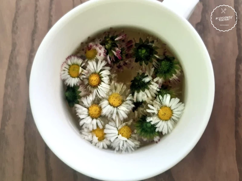 Napar ze stokrotek