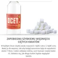 Co zrobić żeby kwiaty szybko nie zwiędły?