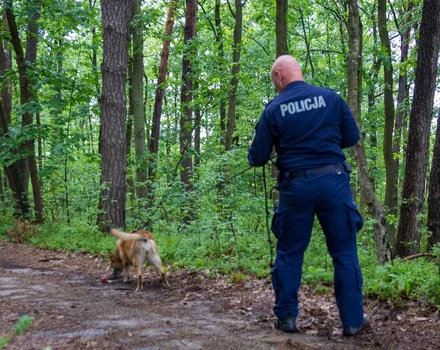 Policyjny pies Lingwa odnalazł zaginionego 46-latka