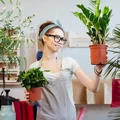 5 powodów, przez które rośliny w twoim domu nie rosną i nie kwitną prawidłowo
