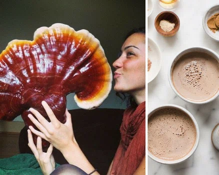 Grzybowa kawa- nowy trend wśród zdrowej żywności