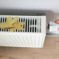 Ta kuchenna przyprawa poprawi jakość powietrza w domu! Wystarczy położyć ją na koloryferze