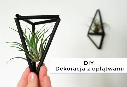 DIY Dekoracja z oplątwami • origamifrog.pl