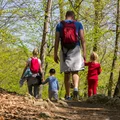 Ponad 800 przypadków zakażeń w tym województwie! Sanepid ostrzega przed groźną bakterią "To jest walka z czasem"