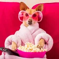 Polacy szaleją na punkcie tego serialu! Nowe „365 dni” podbija serca fanów!