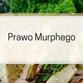 Prawo Murphego