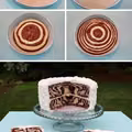 Tort zebra