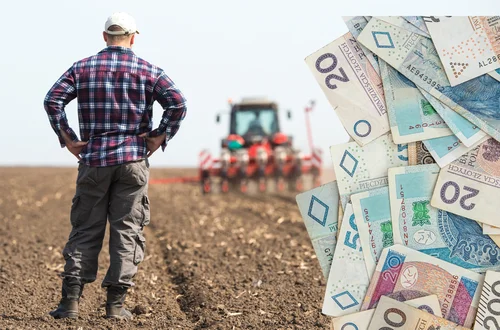 Nowy rządowy program zaskoczy rolników! Czy to ratunek dla polskiej wsi?