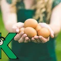 Witamina K. Dlaczego jest ważna dla organizmu? W jakich produktach się znajduje?