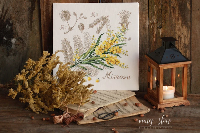 Mimosa - Véronique Enginger