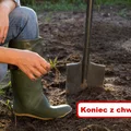 Pozbądź się CHWASTÓW bez użycia mocnej chemii!
