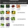 Kilka zastosowań mieszanek olejków eterycznych w Aromaterapii