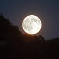 Nie przegap tego zjawiska! Największy superksiężyc roku już dziś na niebie!