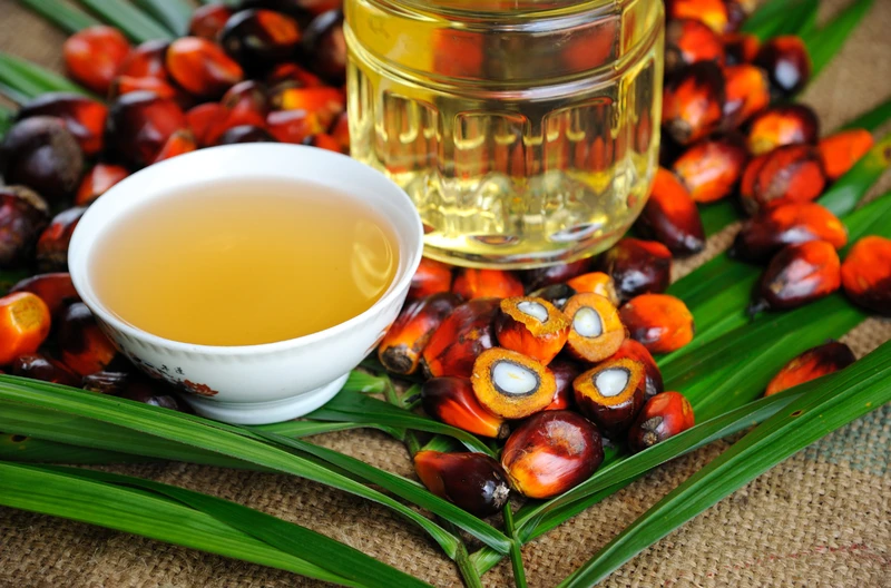 Międzynarodowy Dzień bez Oleju Palmowego: Dlaczego Powinniśmy Zwracać na Niego Uwagę?