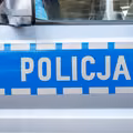 21-latek zatrzymany przez Policję - to on miał skatować i porzucić królika! Historia Marcysia poruszyła tysiące Polaków