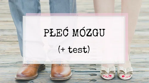 Płeć mózgu + TEST