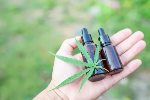 CBD – FAKTY