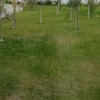 Aerator i wertykulator - kiedy stosować i jak?