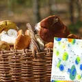 Mapa grzybów 2023: Odkryj miejsca, gdzie grzybów aktualnie jest najwięcej!