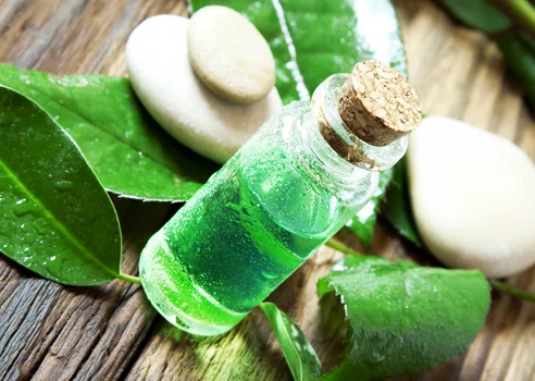 11 genialnych zastosowań olejku z drzewa herbacianego. Inne preparaty pójdą w odstawkę
