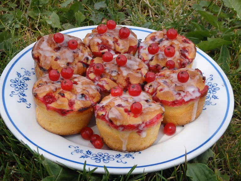 Jogurtowe muffinki z czerwoną porzeczką