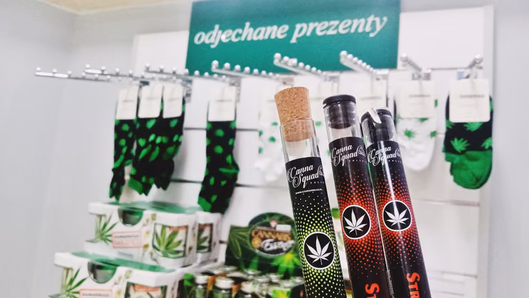 Skutki ubocze CBD- Czy konopie jako przyszłość medycyny ?