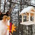 Ukryty wróg przy karmniku! Jak nieświadomie narażasz ptaki na śmierć?