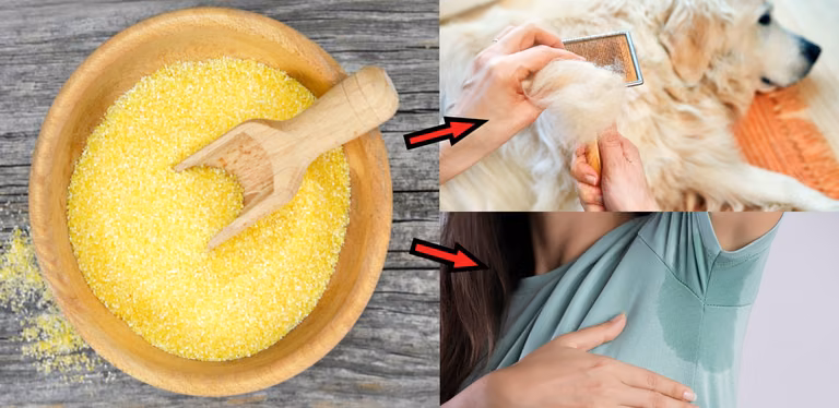 9 magicznych zastosowań mączki kukurydzianej