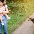 Co zrobić gdy zaatakuje nas pies? Ta metoda może uratować życie!