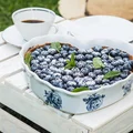 Tarta z budyniem i owocami