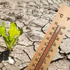 To już pewne! Nadciąga klimatyczna apokalipsa!