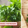 Poznaj niesamowite właściwości PIETRUSZKI!