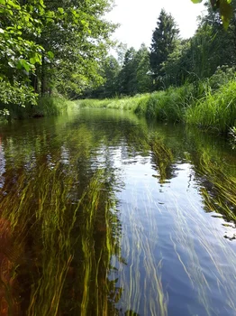 Suwalszczyzna - fotorelacja z podróży