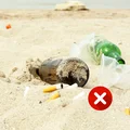 Czego nie można robić na plaży? Za co grozi nam mandat?