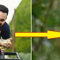 GRILL lepszy niż u sąsiada - sprawdź najlepsze porady!