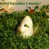 Jak zrobić baranka z masła?