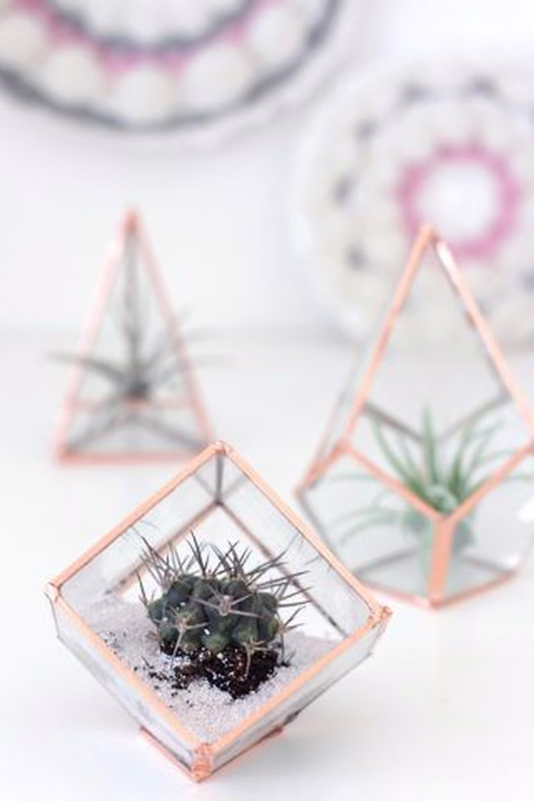 Kwiaty w terrarium