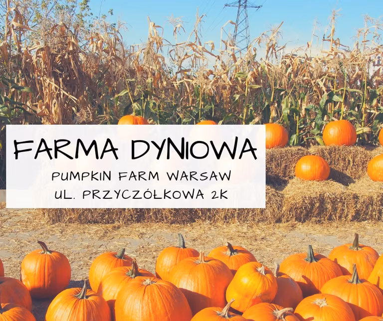 Farma dyniowa
