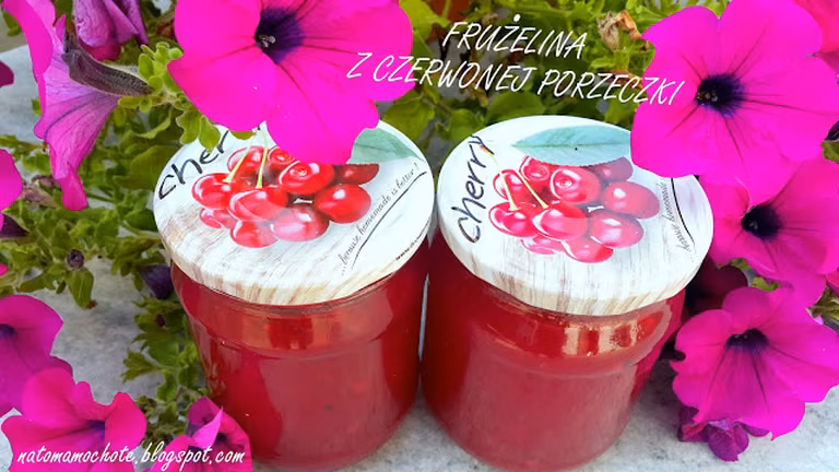 Frużelina z Czerwonej Porzeczki